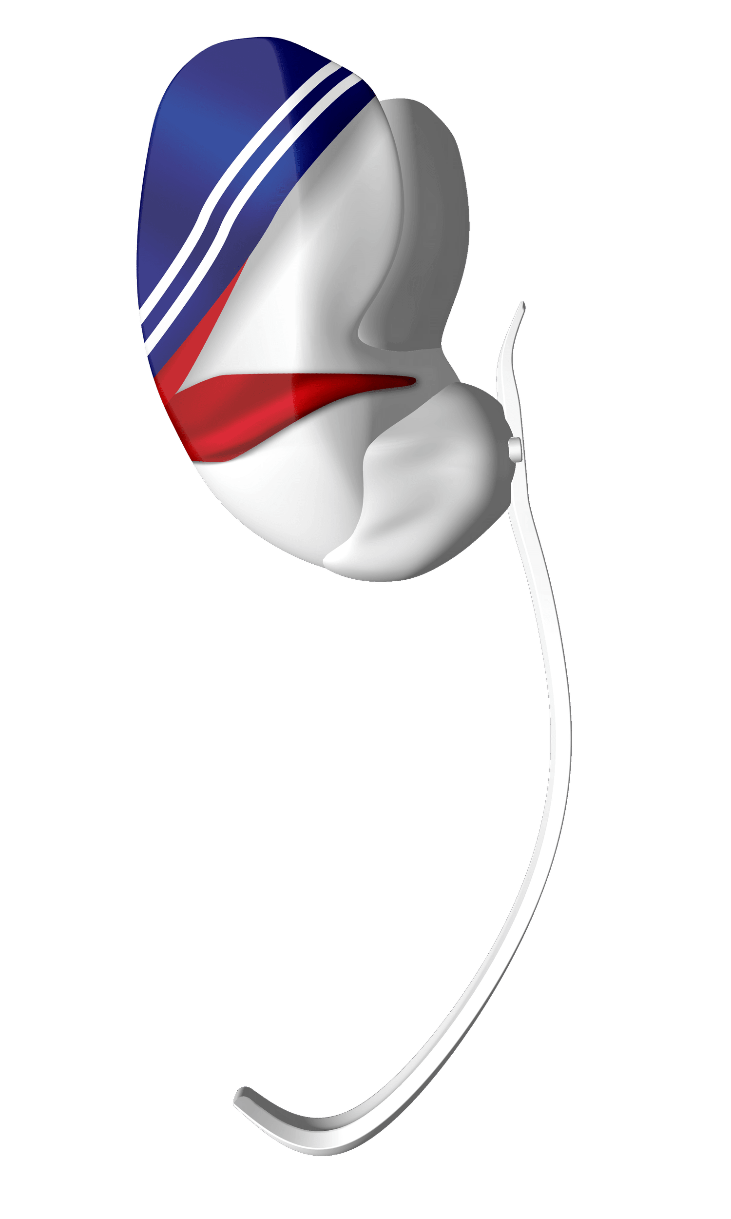 An Ani-Go prosthetic design study with blue and white stripes and a red accent